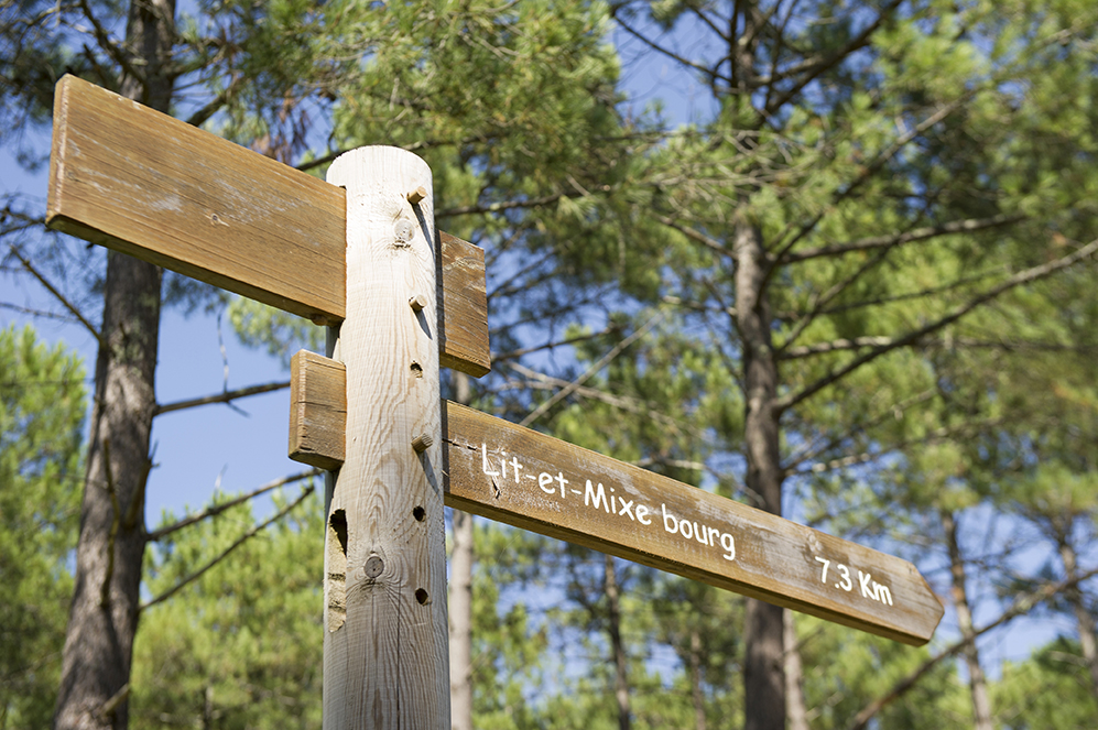 La Vélodyssée - De Contis Plage à Léon, Saint-Julien-en-Born - photo 9