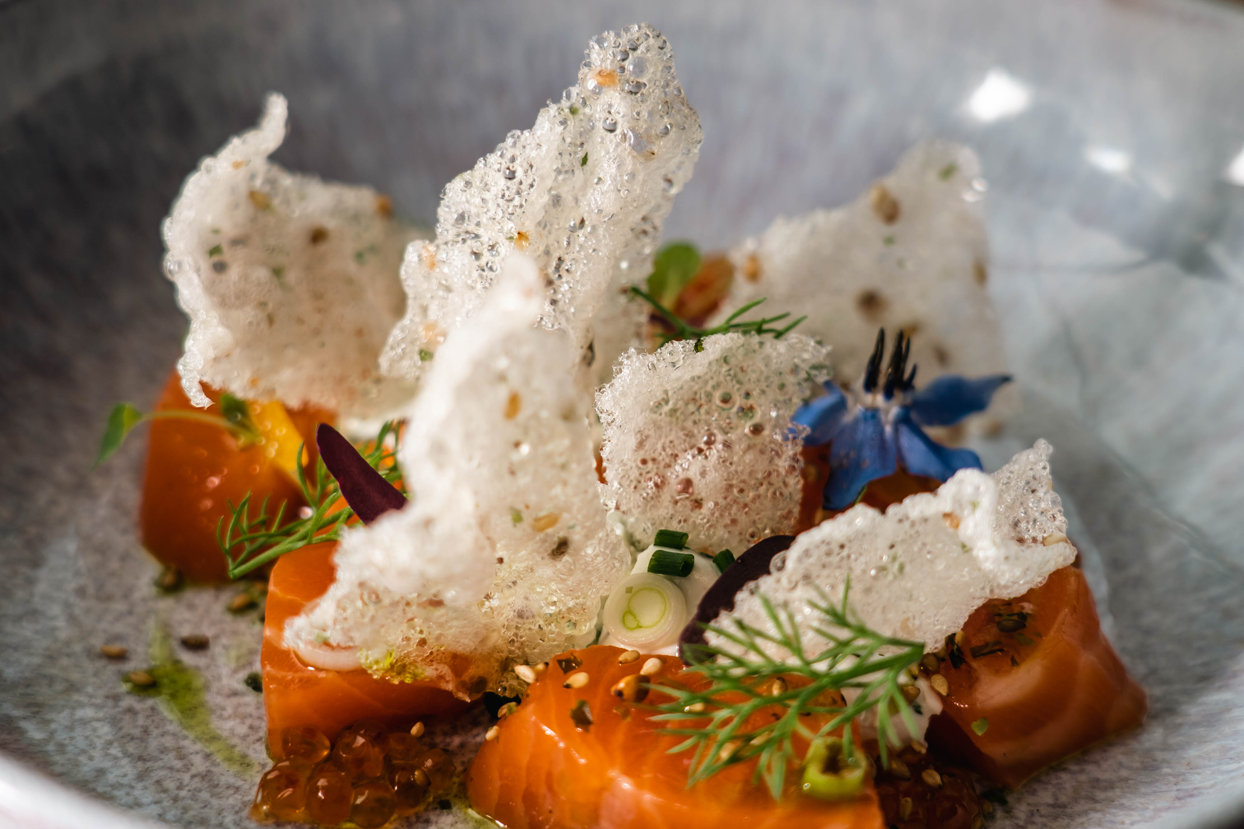 Hôtel restaurant Le Relais des Tuileries - photo 2