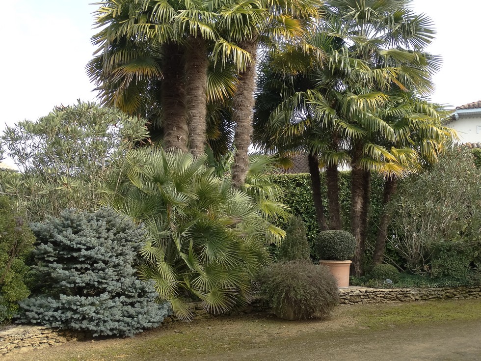 Côté Jardin, Hontanx - photo 5