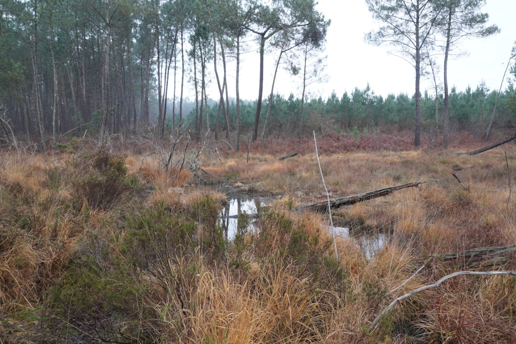 Journée mondiale des Zones Humides, Meilhan