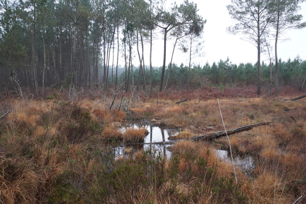 Journée mondiale des Zones Humides, Meilhan - photo 6