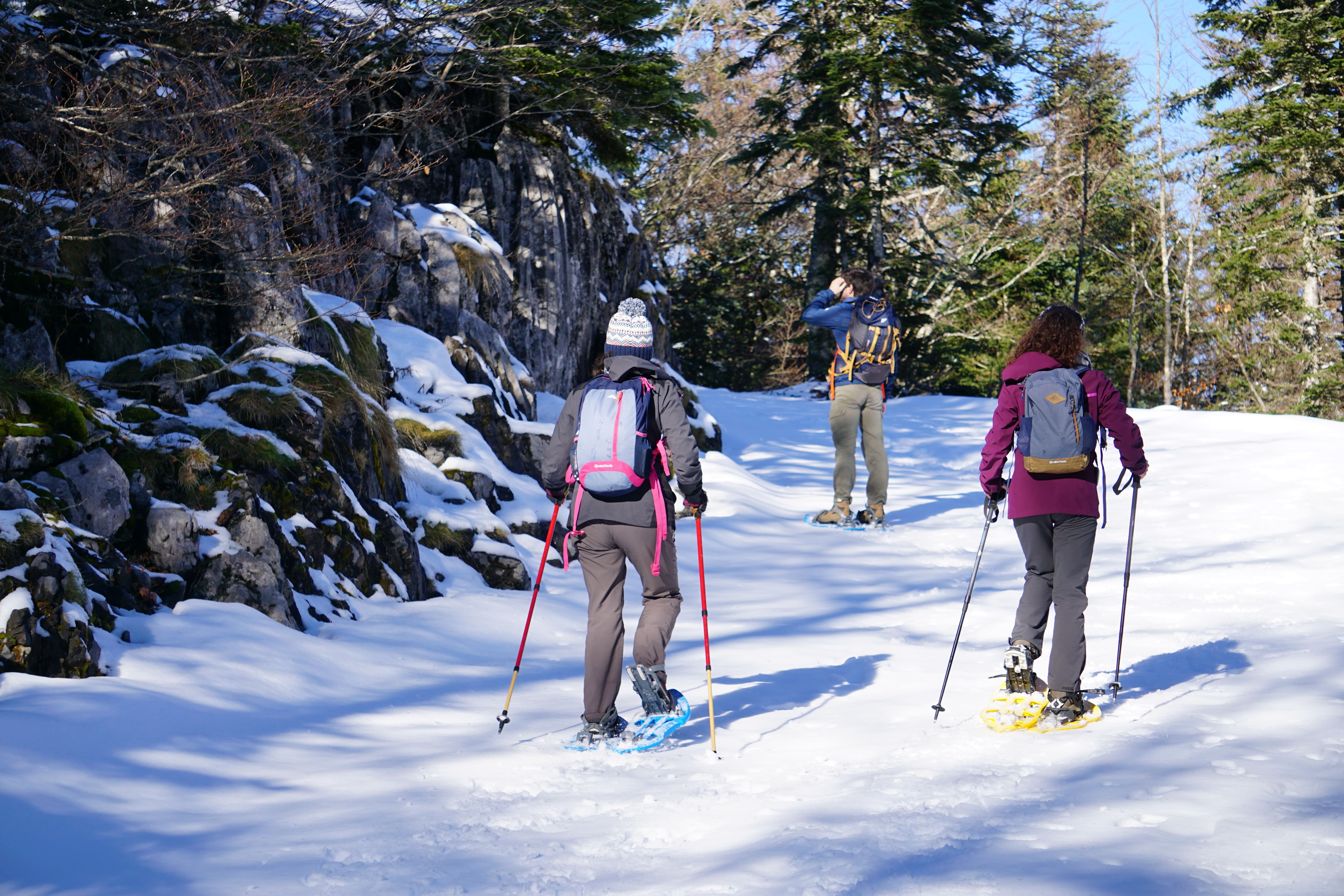 Balade accompagnée en raquettes à la Pierre Saint-Martin, Arette - photo 4