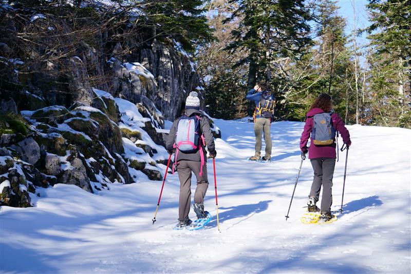 Balade accompagnée en raquettes à La Pierre Saint-Martin