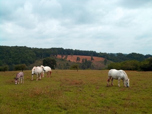 EARL Les Flandres Occitanes - photo 3