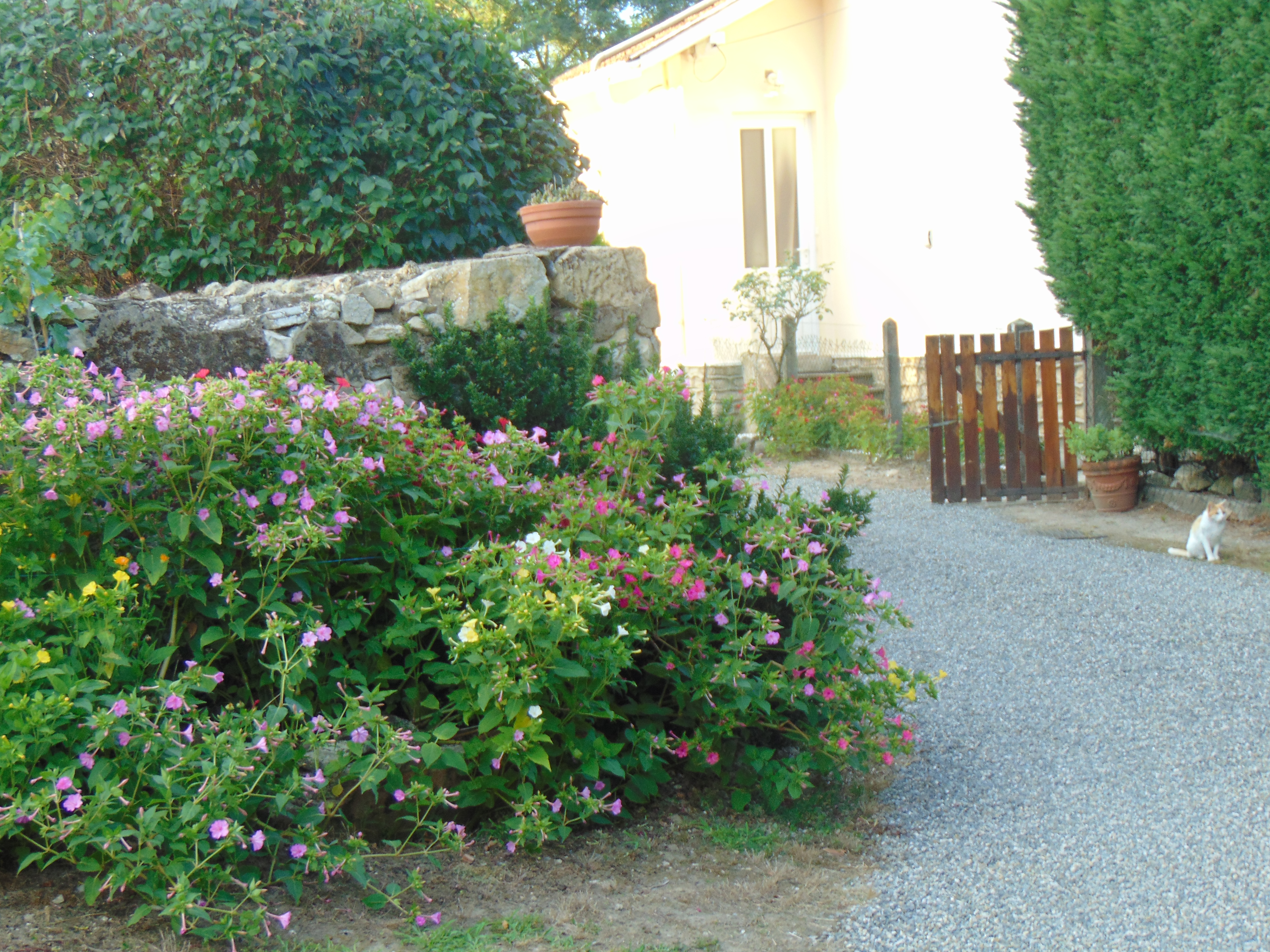 Le gîte du Fourrou - 1 à 4 pers., Yzosse - photo 5