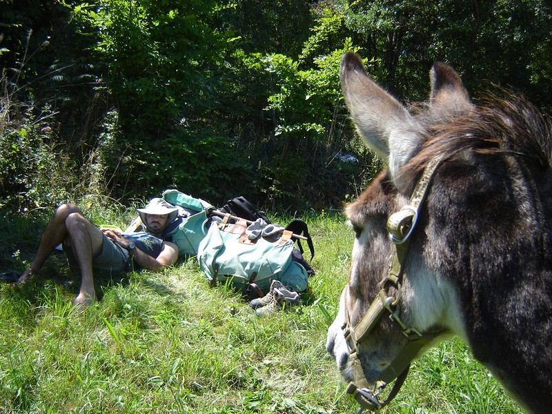 La Ferme du Cledou - photo 2