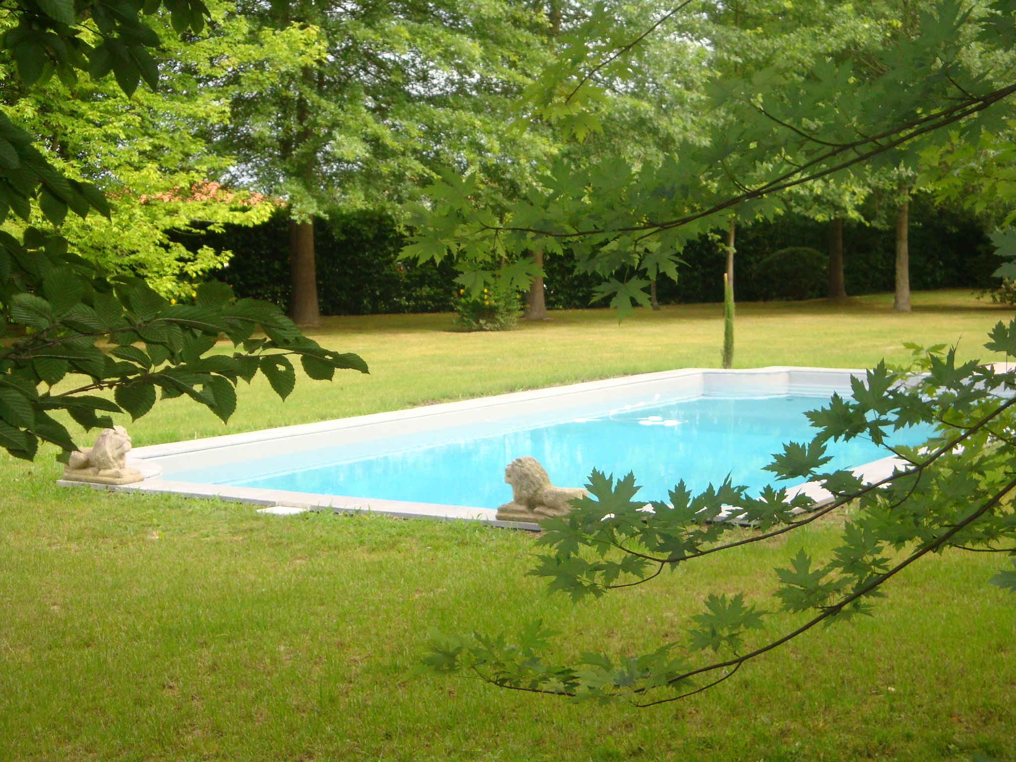 Gîte la louve, Arsague - photo 2