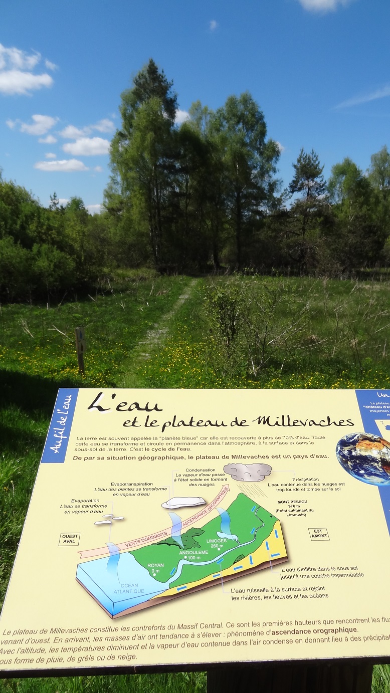 Au fil de l'eau - 12 km - temporairement fermé