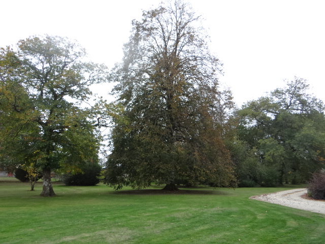 Gîte le Chai, Beylongue - photo 11