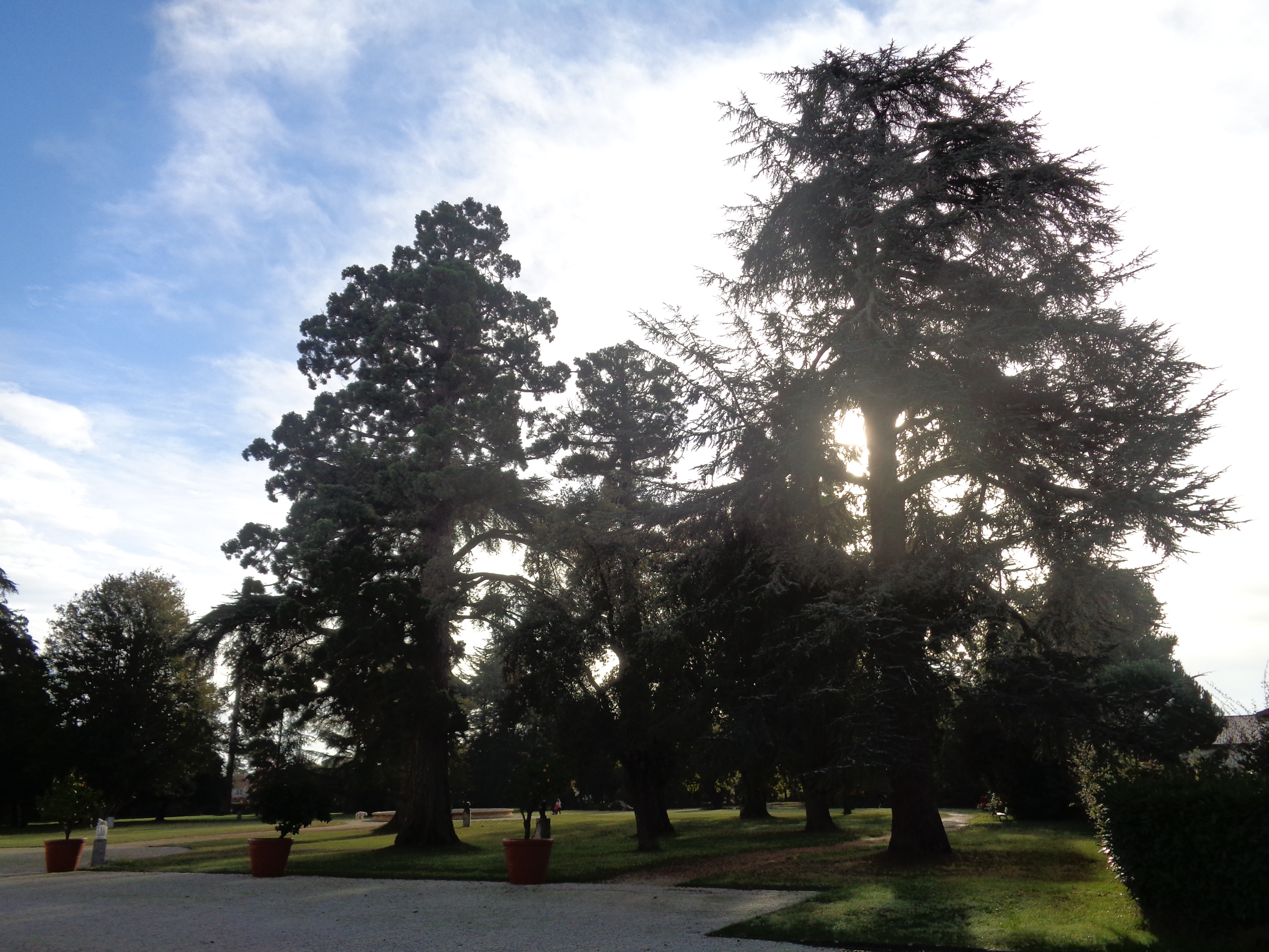 Balade à roulettes : Parc de Laurenzanne, Gradignan - photo 4
