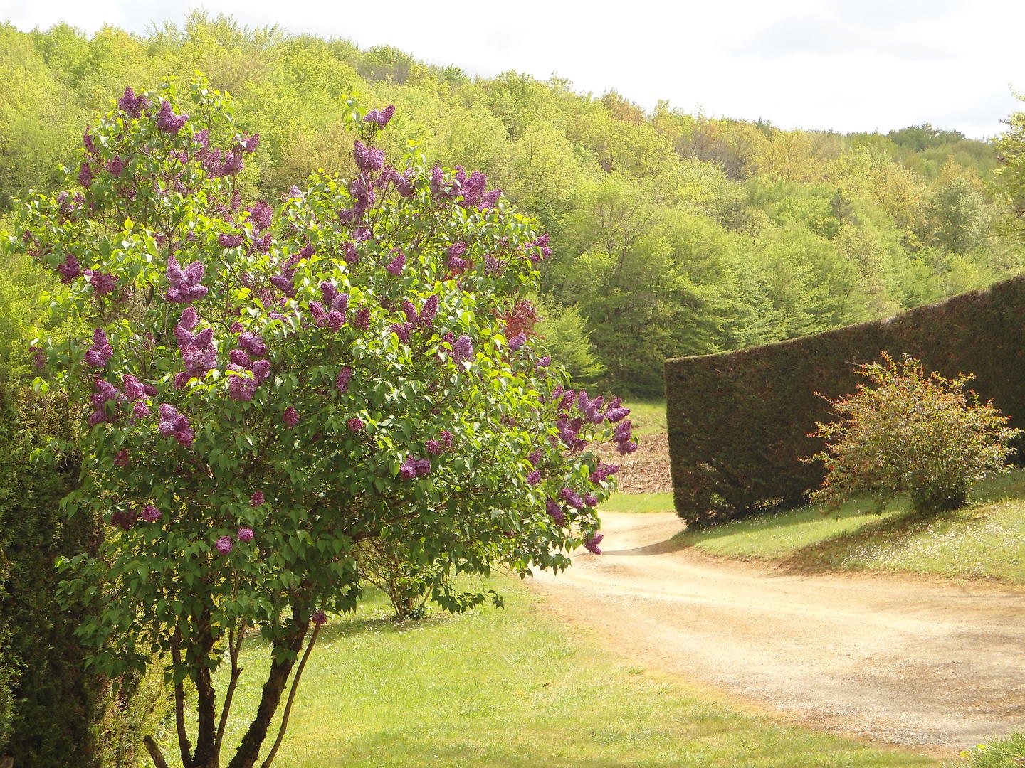 Gîte Canterane, Salignac-Eyvigues - photo 11