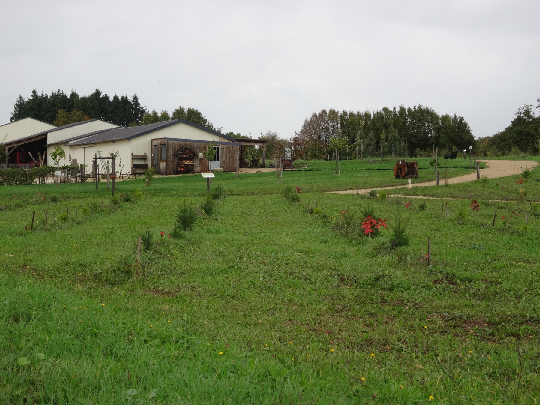 Arboretum et la scierie d'autrefois - Musée