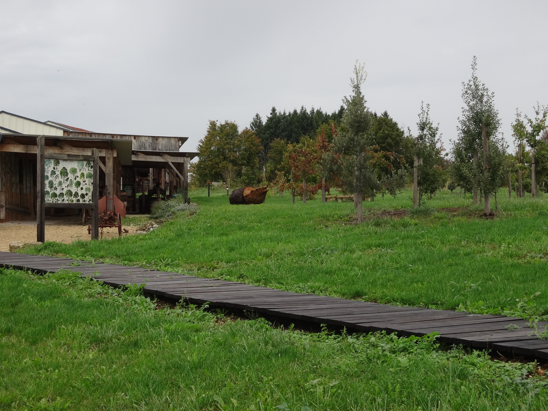 Arboretum et la scierie d'autrefois - Musée, Melleran - photo 5