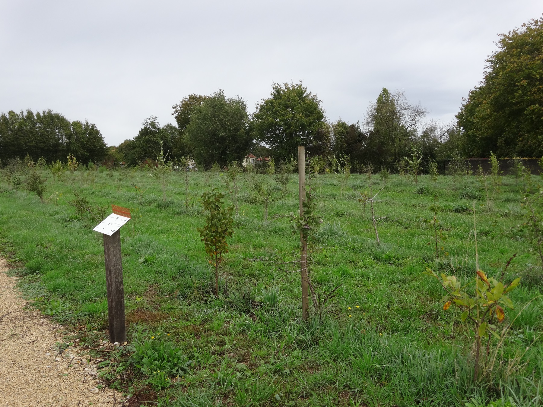 Arboretum et la scierie d'autrefois - Musée, Melleran - photo 6