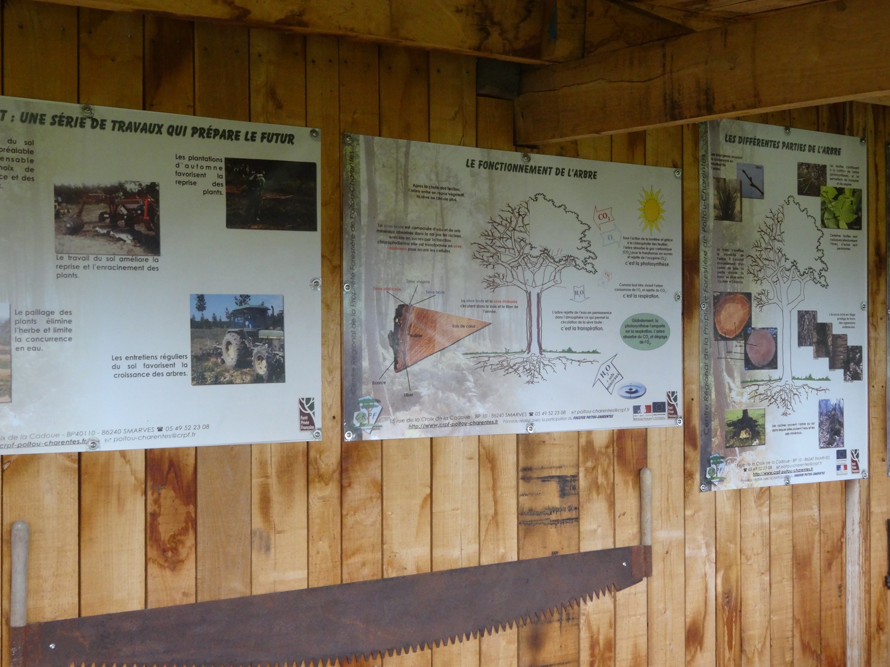 Arboretum et la scierie d'autrefois - Musée, Melleran - photo 4