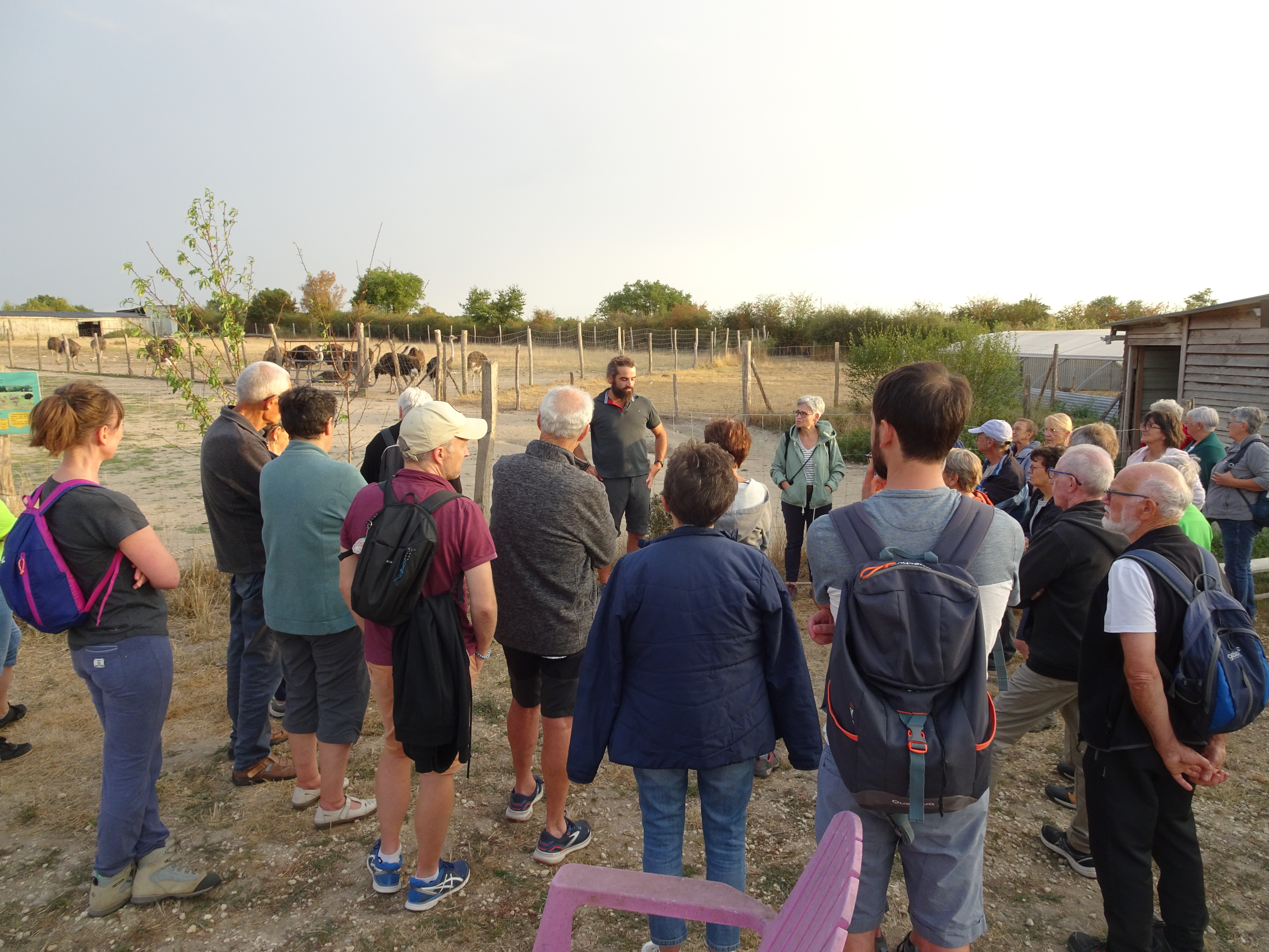 La Balade des autruches, La Peyratte