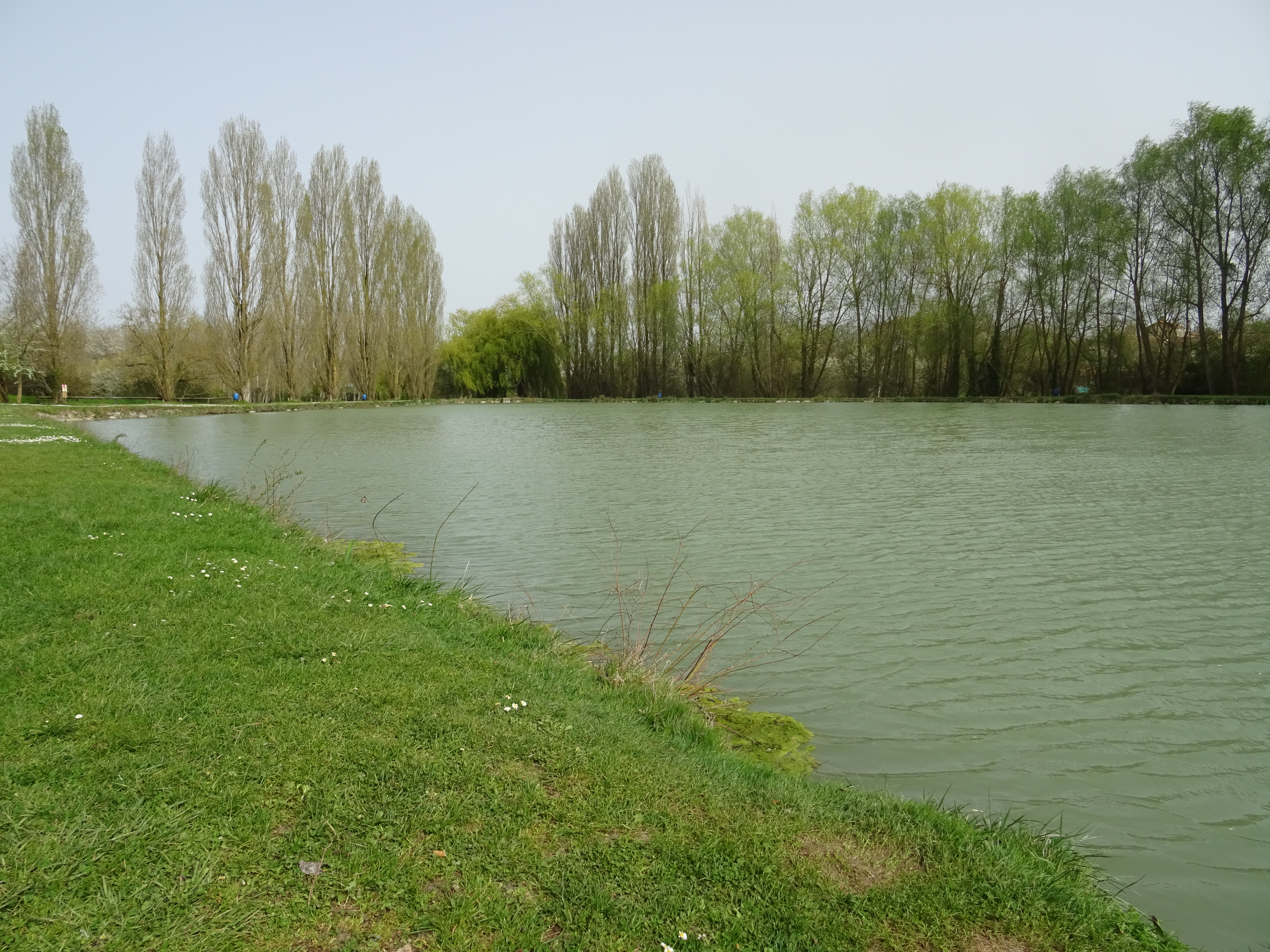 Etang Mercure Massognes