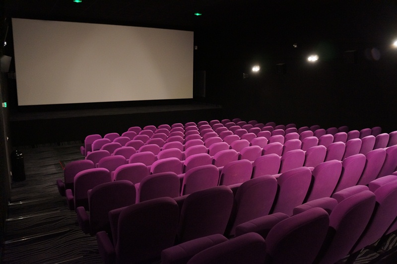 Cinéma Le Plaza, Marmande - photo 2