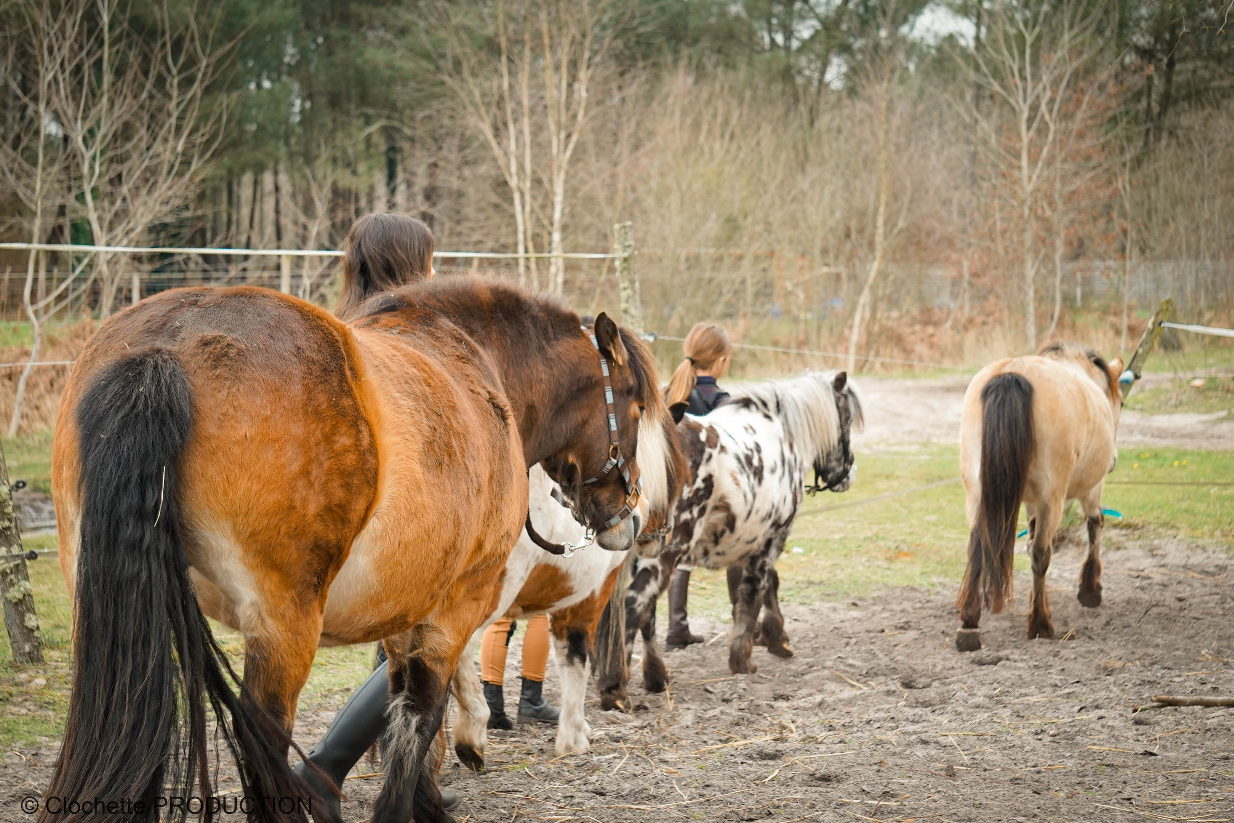 Les Écuries de Landriole