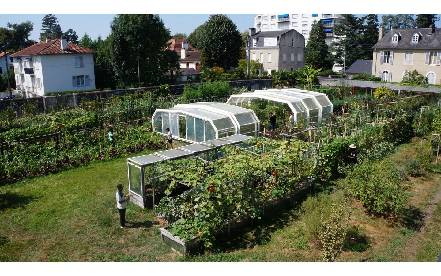 Initiation à la permaculture