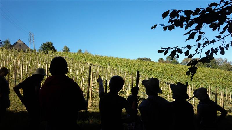 Aire de stationnement - Domaine Latapy