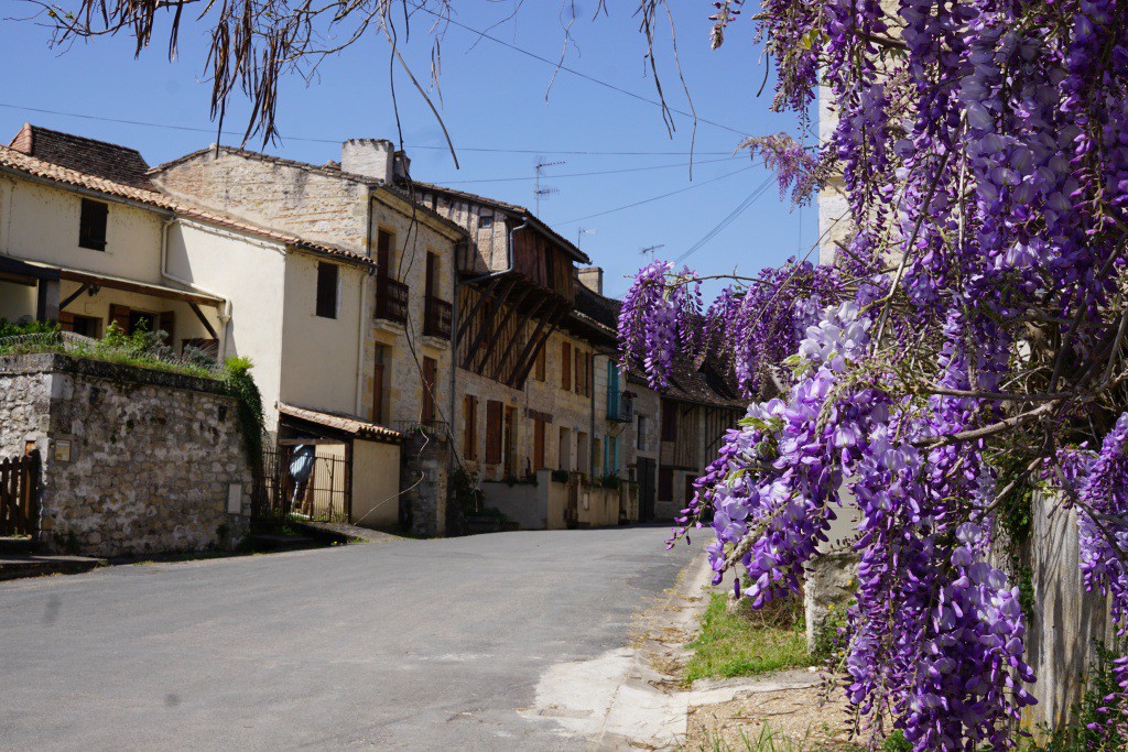 Boucle de Cap de Fer - Le Fleix, Le Fleix - photo 5