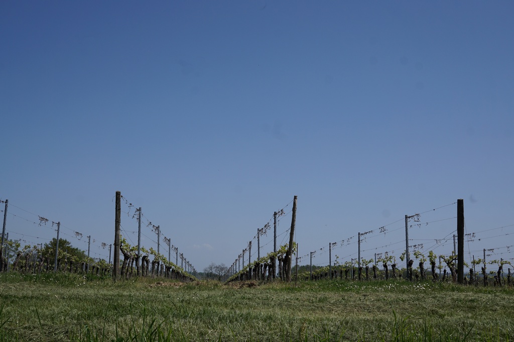 Boucle de Guérol - Fougueyrolles, Fougueyrolles