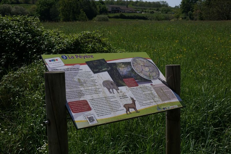 Boucle de Guérol - Fougueyrolles, Fougueyrolles - photo 3