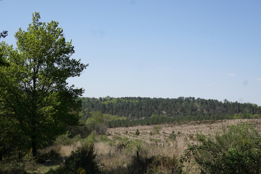 Boucle de Café Rouge - Saint Pierre d'Eyraud, Saint-Pierre-d'Eyraud - photo 3