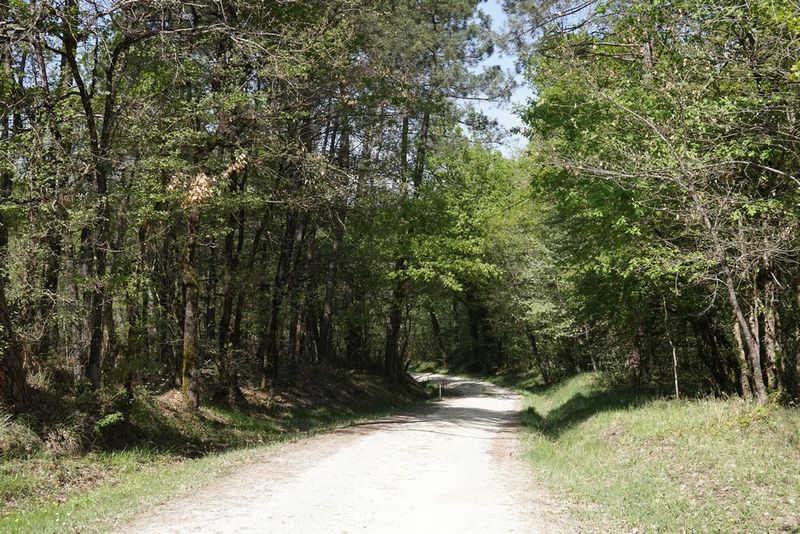 Boucle de Café Rouge - Saint Pierre d'Eyraud, Saint-Pierre-d'Eyraud - photo 4