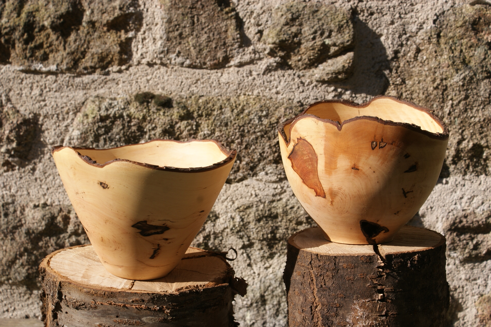 Atelier Entre Terre et Bois - photo 2