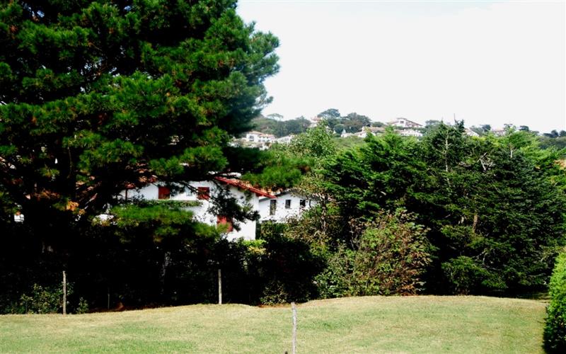 OLASAGUIRRE Irène 
