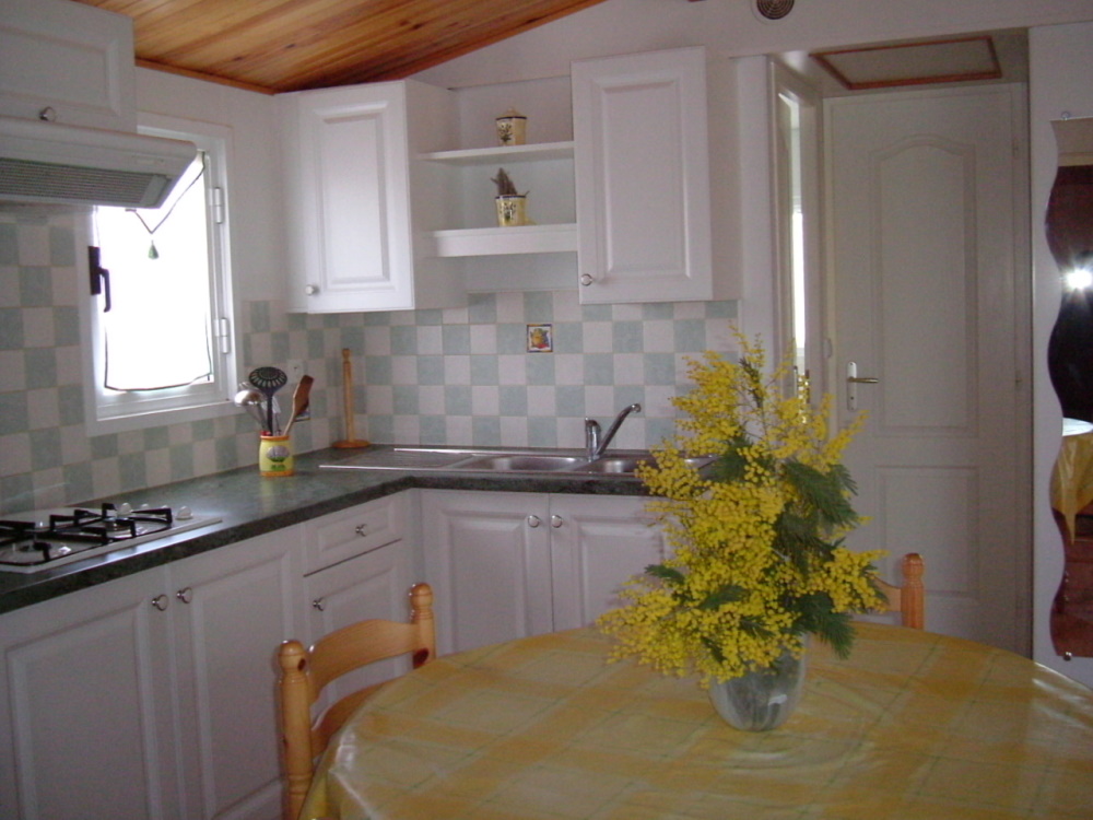 Camping Lou Bascou, Rivière-Saas-et-Gourby - photo 4