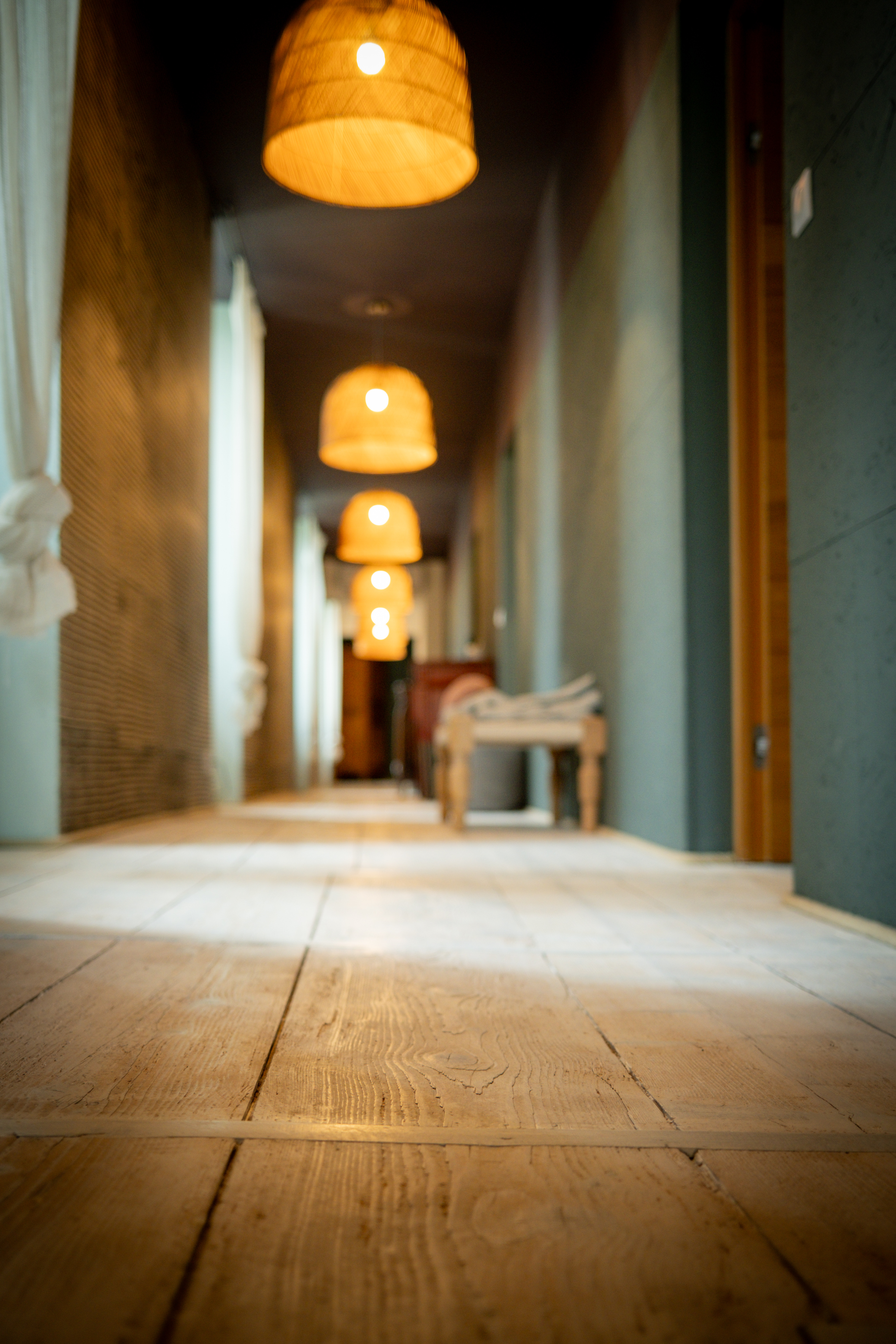 L'Avenante Bazilloise, Saint-Bazile-de-Meyssac - photo 15