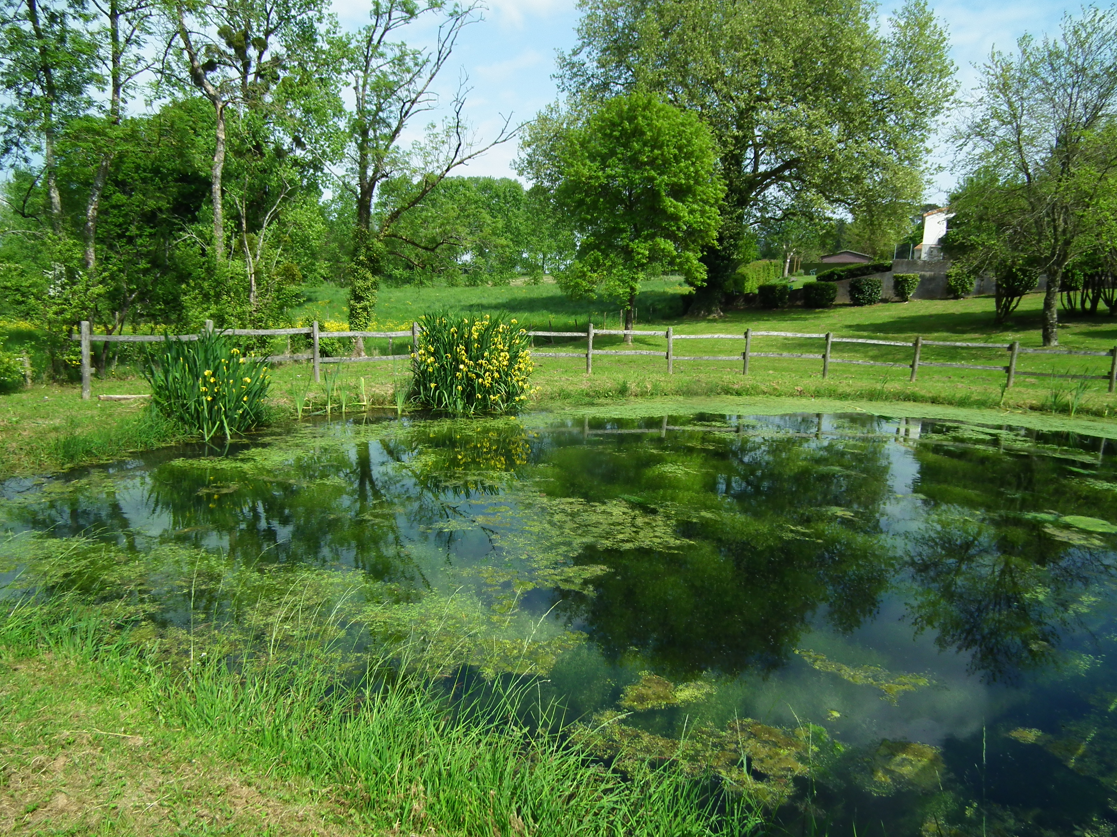 Jardin des Abiès, L'Absie - photo 3