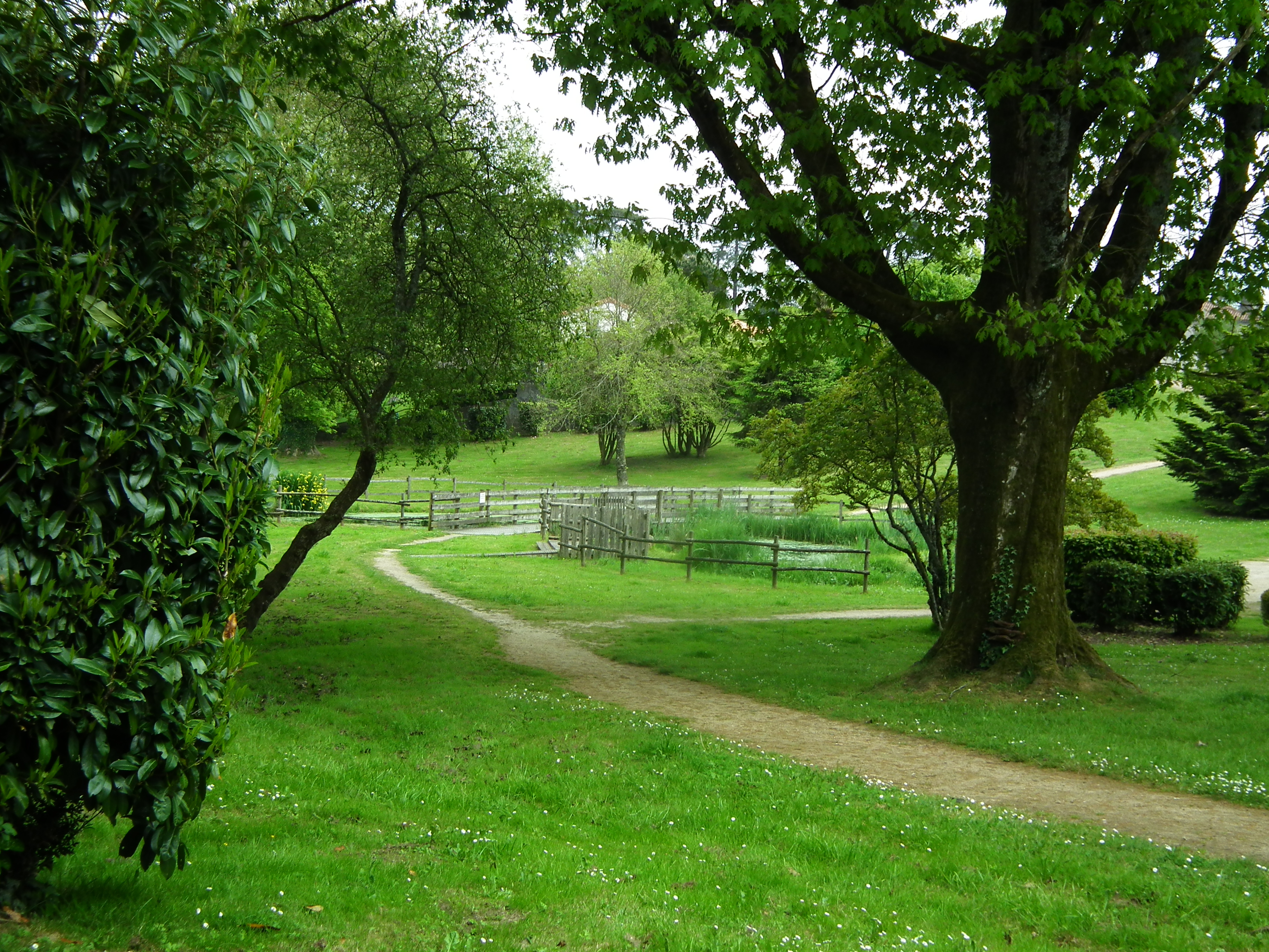 Jardin des Abiès, L'Absie - photo 2