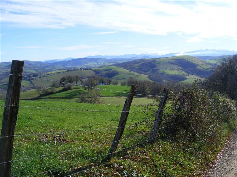 Haranbeltz eta Soihartze - Trail
