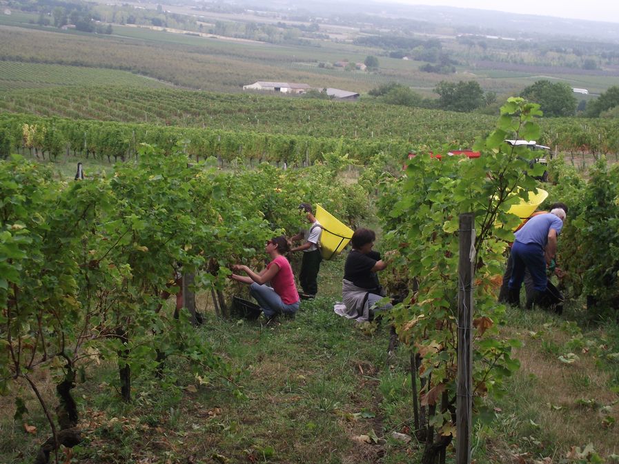 Domaine du Petit Paris - photo 2