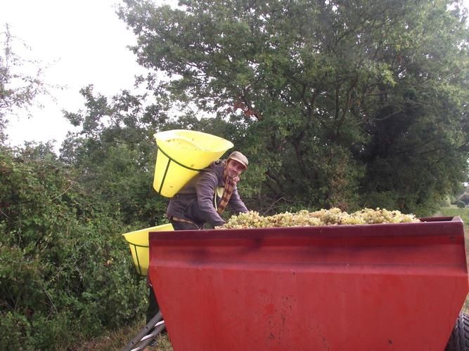 Domaine du Petit Paris — photo 3
