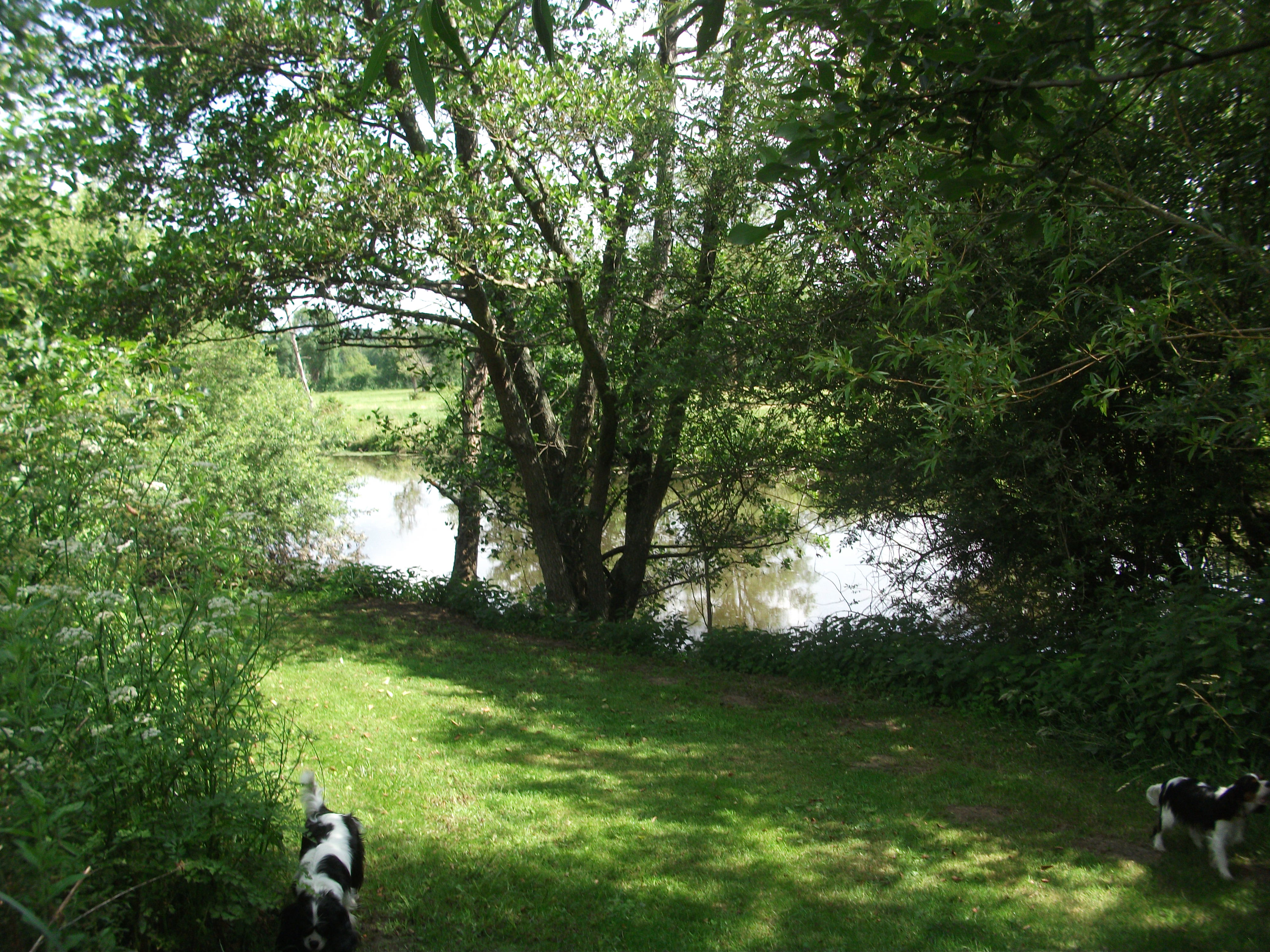 Gîte du Vieux Pont - photo 4