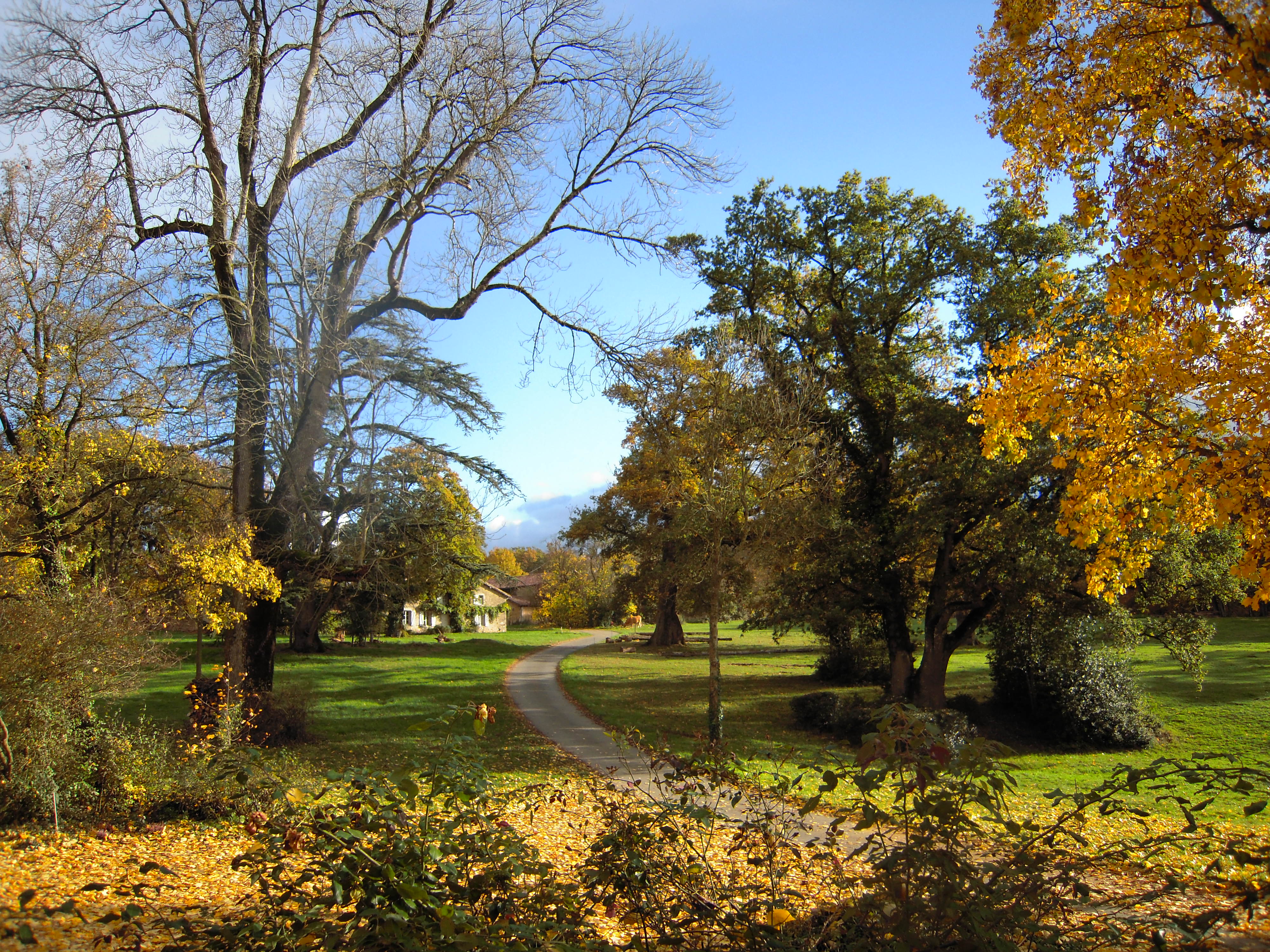 Domaine des Roches Blanches, Le Pin - photo 3