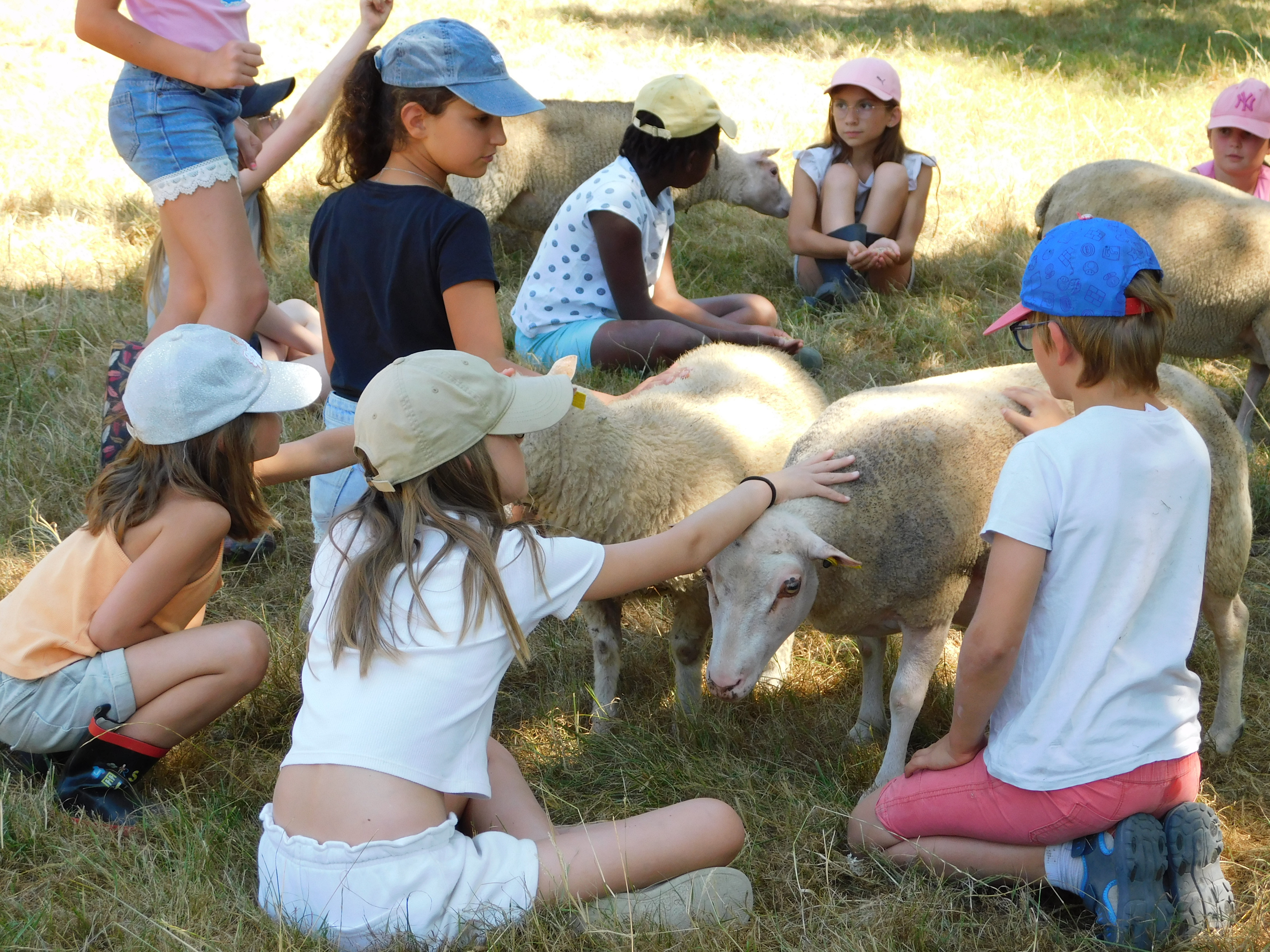 Ferme pédagogique - Lathus-Saint-Rémy