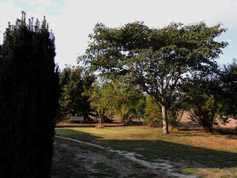 Le Mouscard, Saint-Chamassy - photo 4