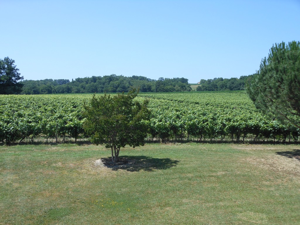 Domaine du Hourtica, Jean Tarbe