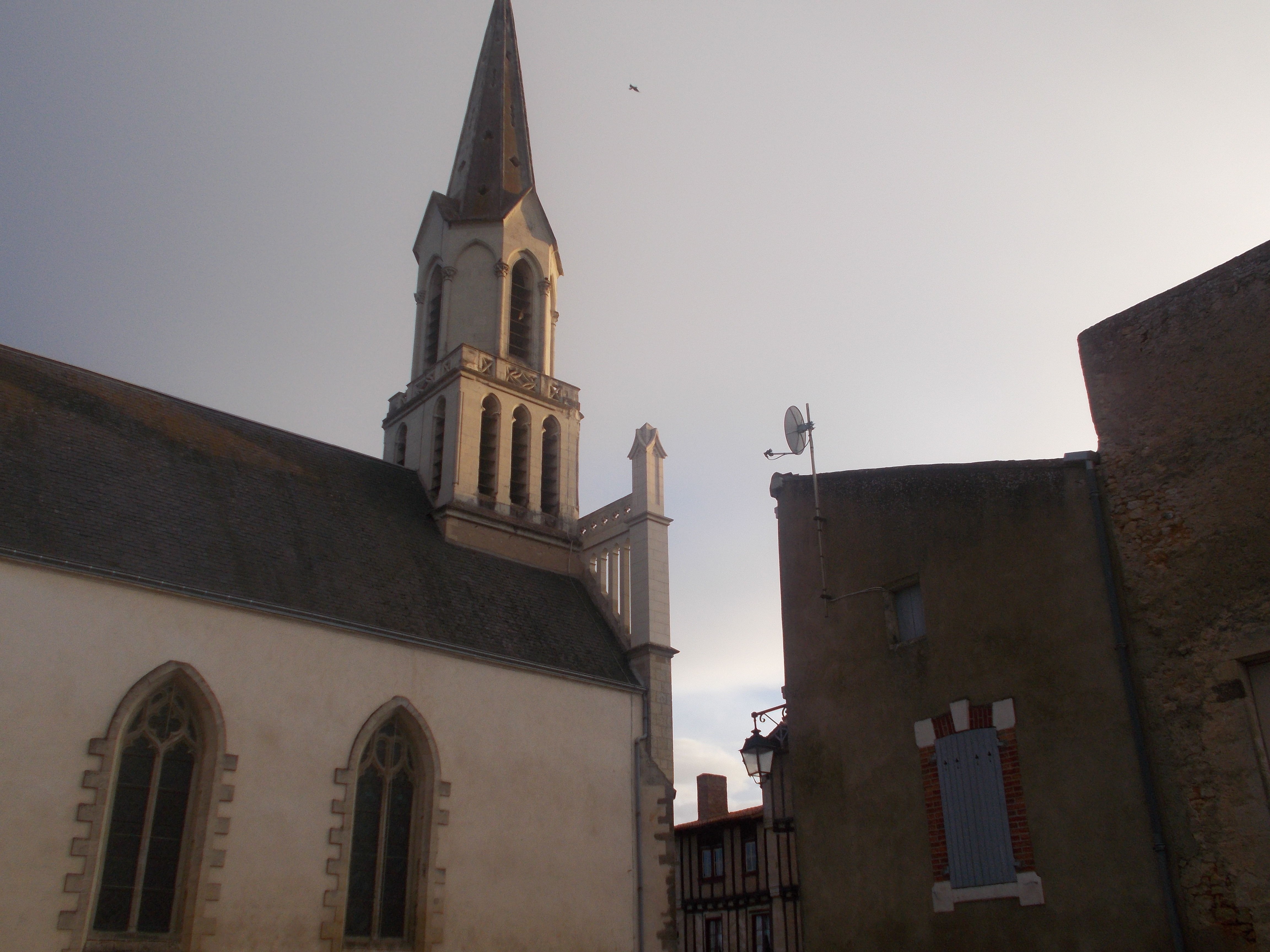 Eglise Notre Dame, Saint-Loup-Lamairé - photo 4