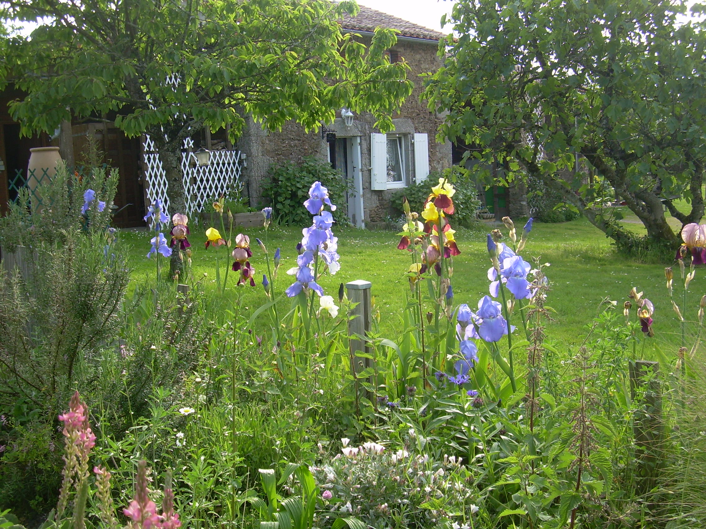 Le Four à Pain, Fenioux - photo 3