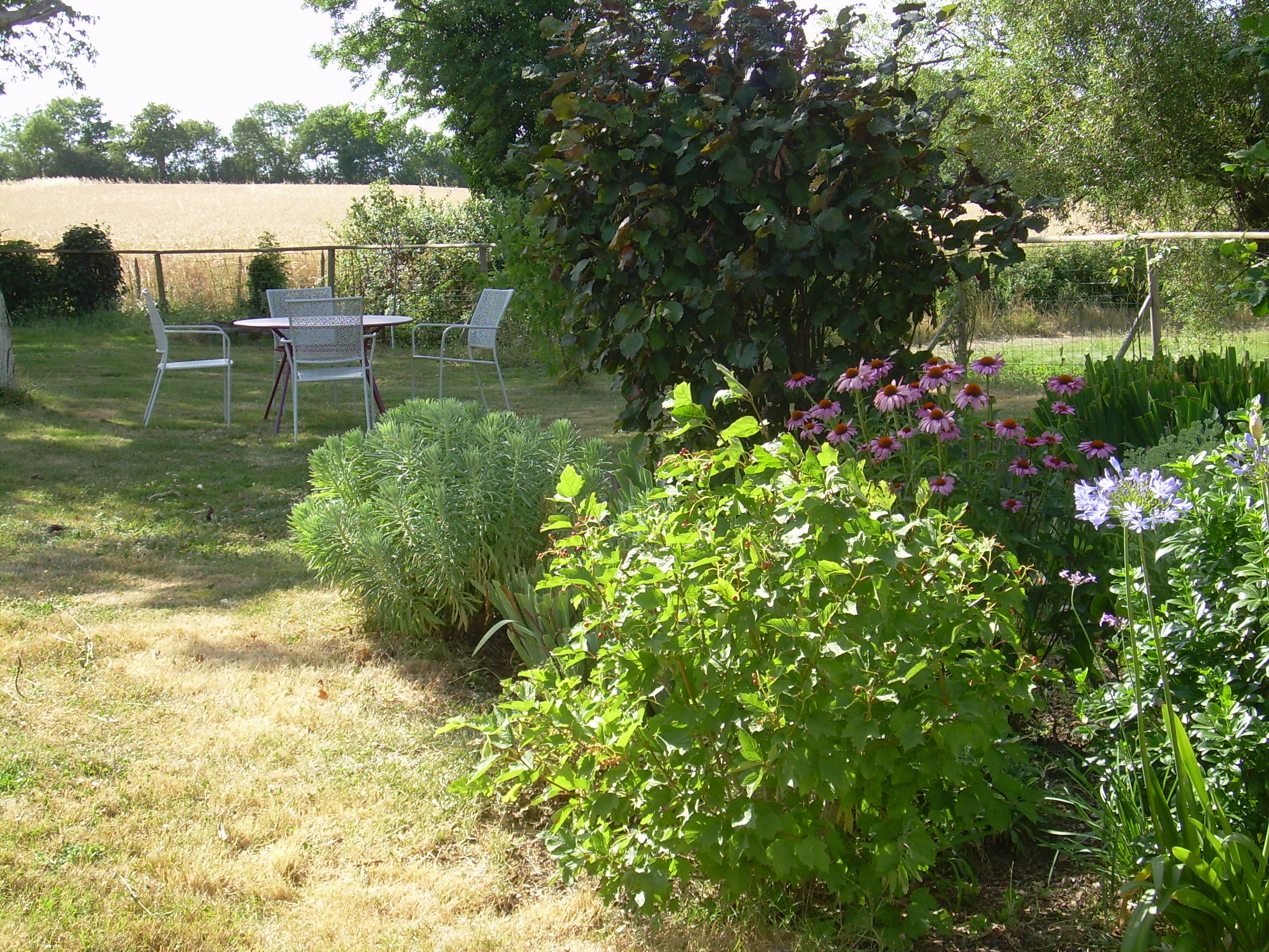 Le Four à Pain, Fenioux - photo 20