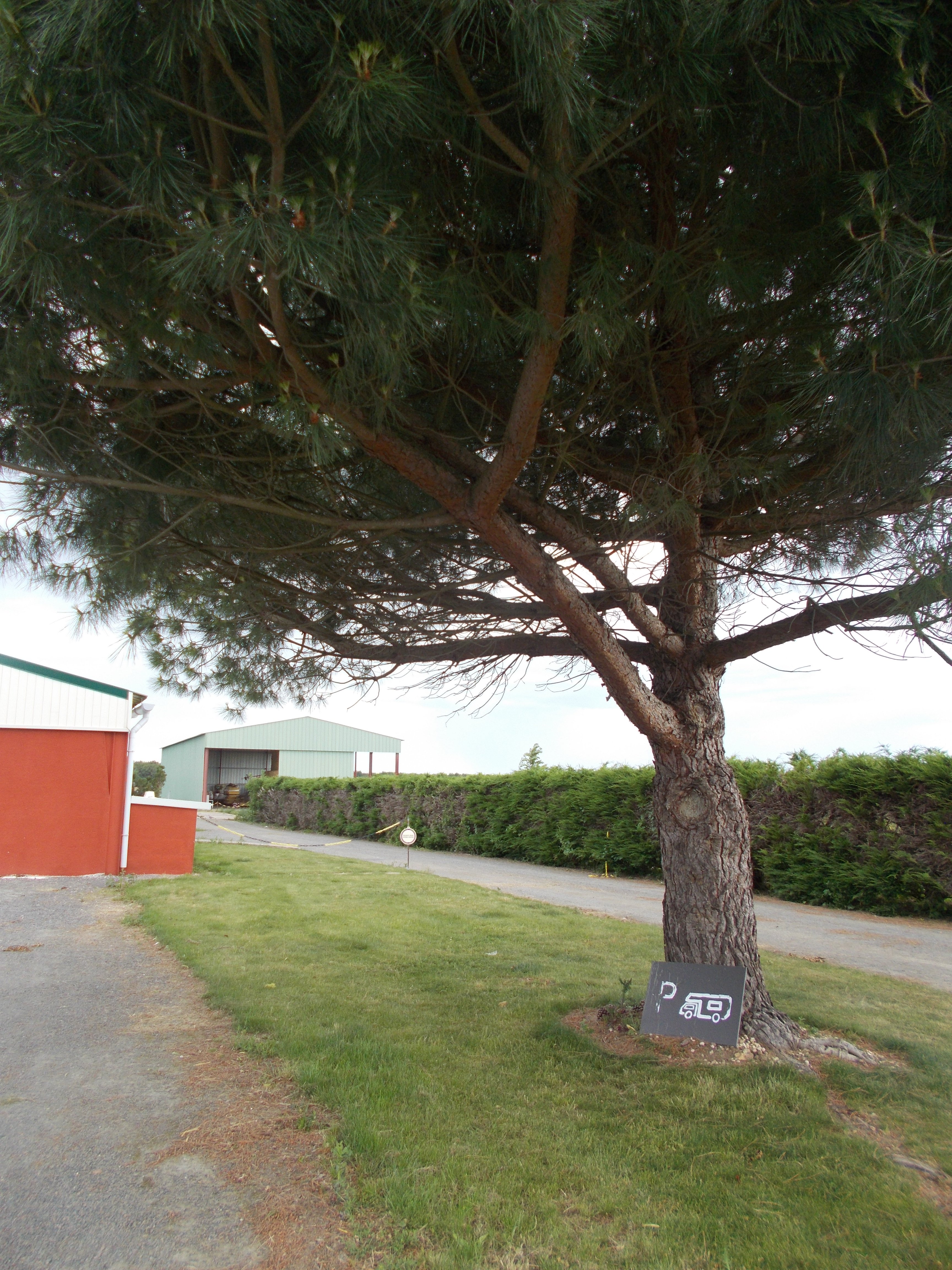 Accueil camping car (hors camping) - EARL Canards gras du Cébron