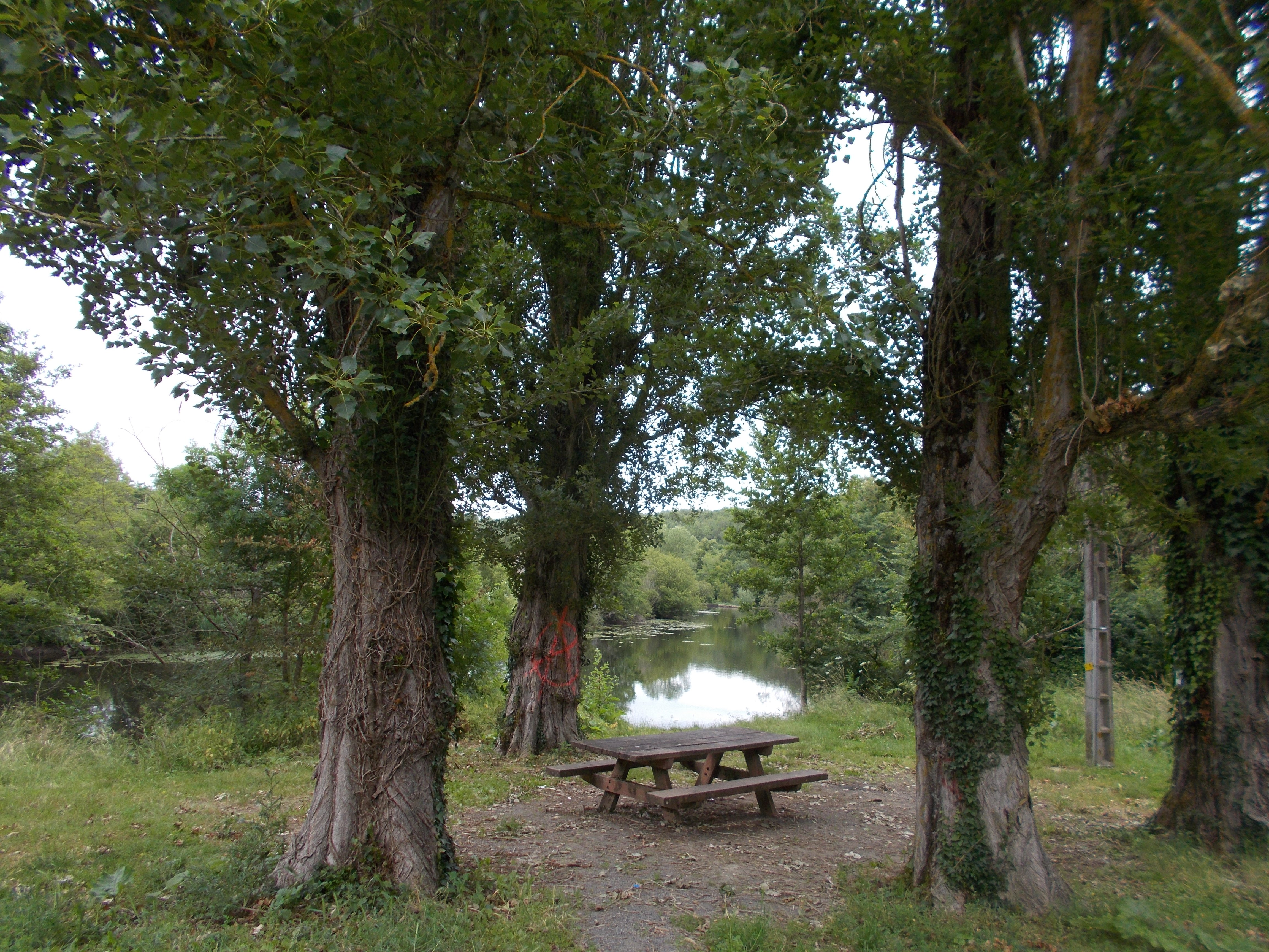 Aire de pique-nique de Courte Vallée (Airvault) - photo 2