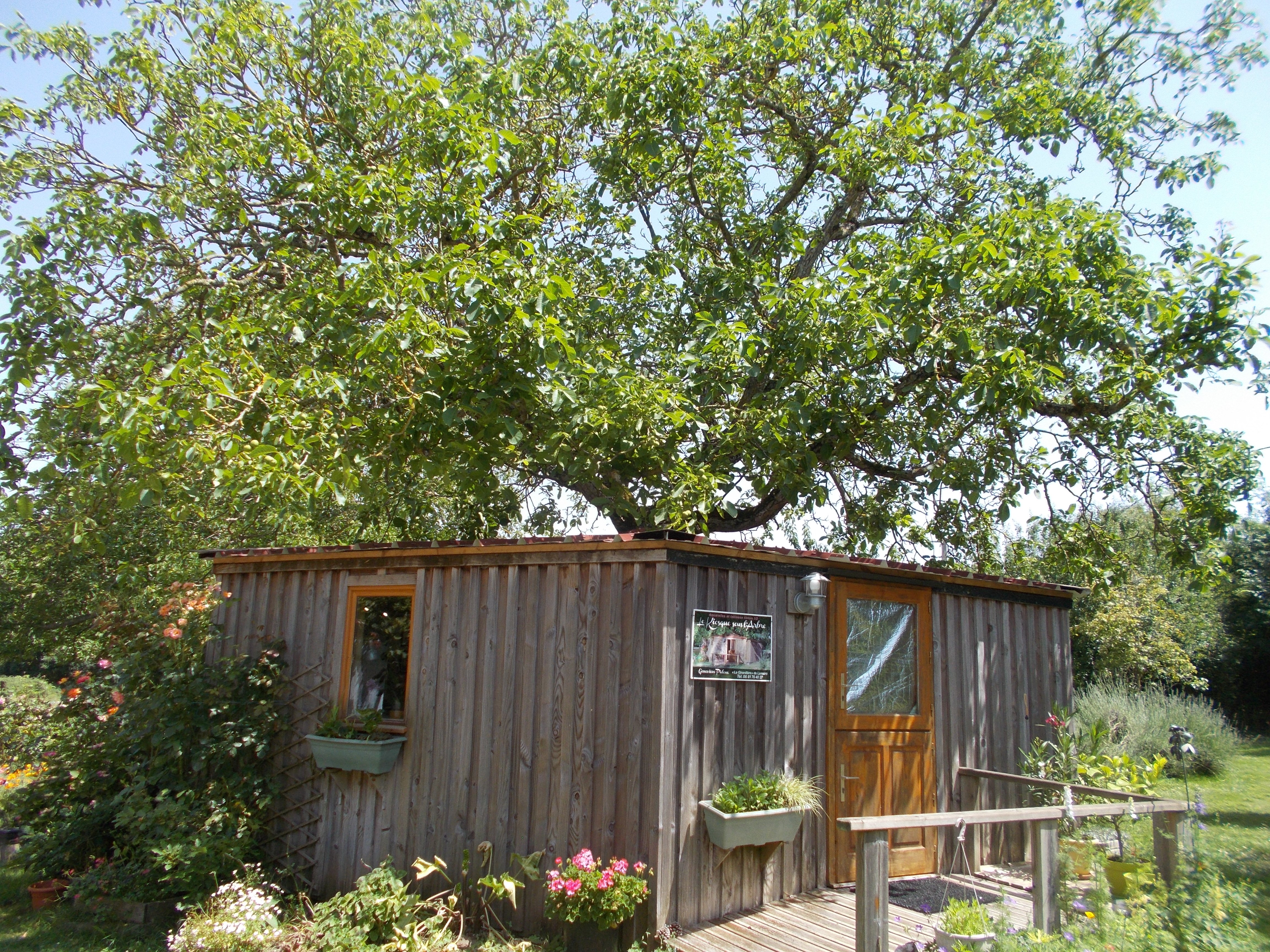Le Kiosque sous l'Arbre